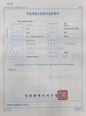 말소증