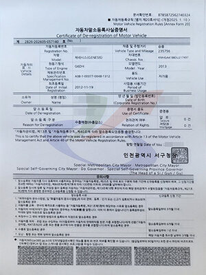 말소증