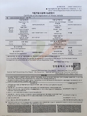 말소증